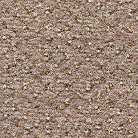  Condor Carpets Argus1 Argus 189