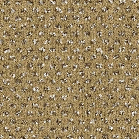  Balsan Signature 625
