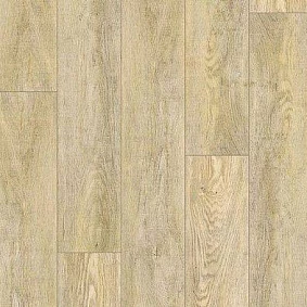  Grabo Robust Arryn