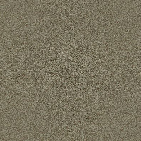  Interface Polichrome Stipple