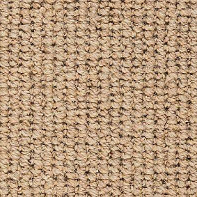  Best Wool