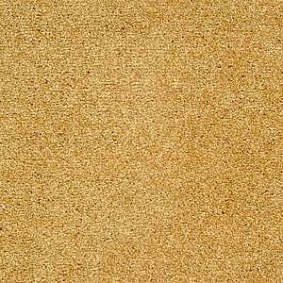  Sintelon 6701