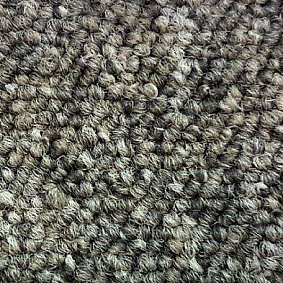  Condor Carpets Solid