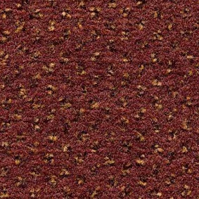  Condor Carpets Argus1 Argus 239