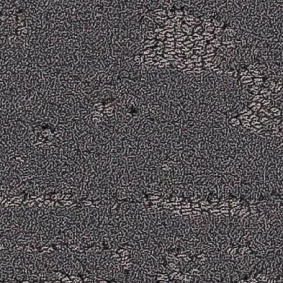  Balsan1 Balsan Groove