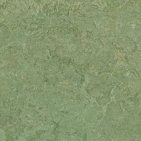  Forbo Marmoleum Sport 83212