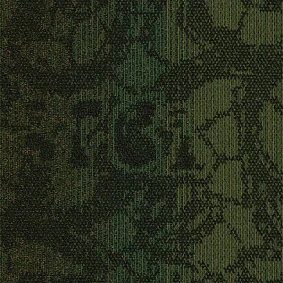  Interface 346576