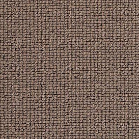  Best Wool