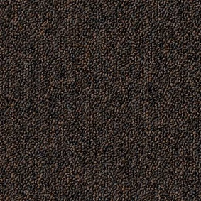  Desso1 Desso Natural Nuances 9150