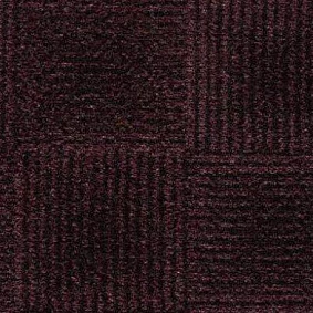  Condor Carpets Amazon 150