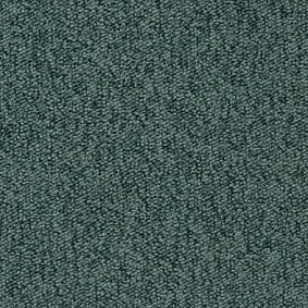  Vorwerk Passion 1005