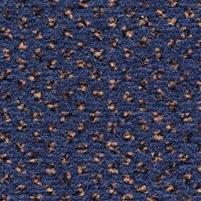  Condor Carpets Argus1 Argus 419