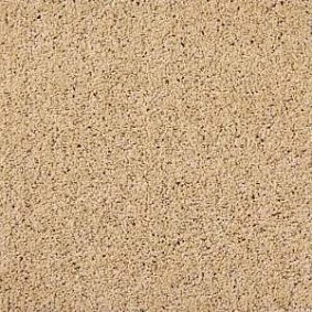  Sintelon 6509