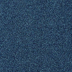  Desso1 Desso Torso 8803