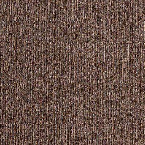  Escom Rush