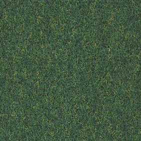  Finett Vision Color