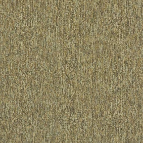  Interface 5581