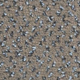  Balsan Impression Roll