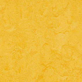  Forbo Marmoleum Modular Colour