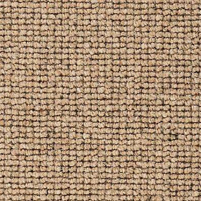  Best Wool