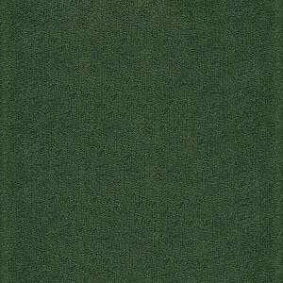  Pvh 8262 Green