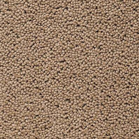  Best Wool
