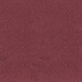  Desso Asteranne 4001