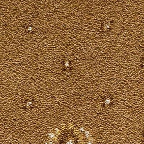  Condor Carpets Australia 424