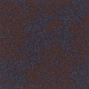  Enia Tecsom Decostructure Prairie 00027