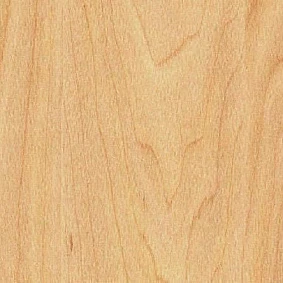  Gerflor Taraflex Performance Wood 6381 Maple Design