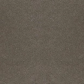  Desso Asteranne 9003