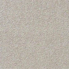  Vorwerk Passion 1004