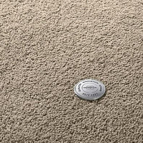  Vorwerk Superior 1065 Viola