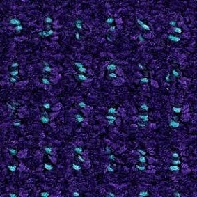  Balsan 885 Raisin