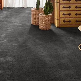  Vorwerk Exclusive 1060 Safira 2