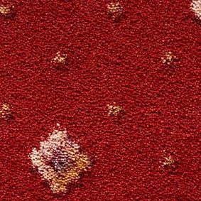  Condor Carpets Asia 220