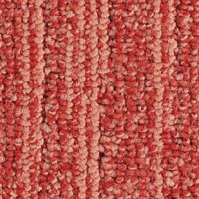  Balsan1 Balsan Jungle