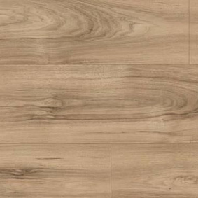  Kaindl Classic Touch 8 Shirokaya