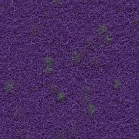  Finett Vision Focus 755561