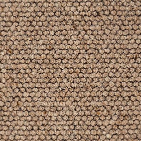 Best Wool