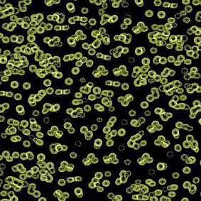  Forbo Flotex Sottsass Bacteria