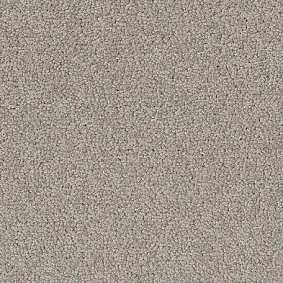  Desso1 Desso Palatino 1318