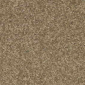  Enia Tecsom 4120 Galerie 00043