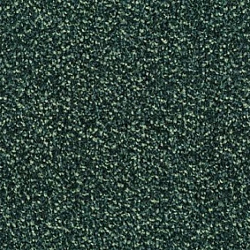  Desso1 Desso Flavia 9502