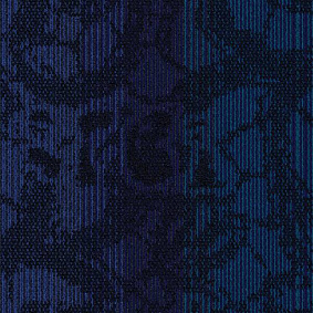  Interface