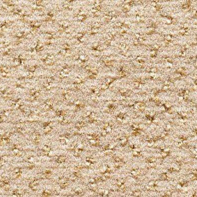  Condor Carpets Argus1