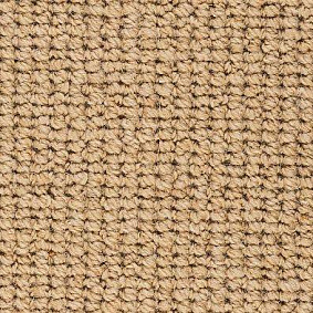  Best Wool