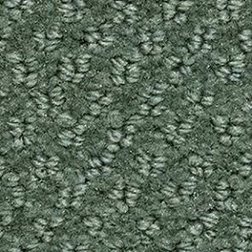  Balsan 220 Lichen