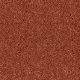  Desso Asteranne 4201