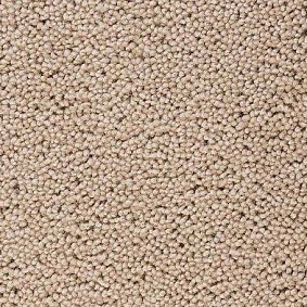  Best Wool Pure Brunel D10006
